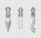 Metal or plastic fasteners, zippers. Fastener and zipper isolated, zippered accessories illustration. Set of silver