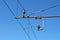 Metal pole construction for holding electrical wires at local train station connected through ceramic insulators