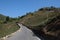 Metal road going through the hills and the tea gardens.