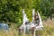 Metal rusty car body parts abandoned in greenery