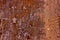 Metal rusty red grunge texture