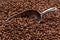 Metal scoop partially buried in coffee beans