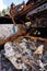 Metal scrap car debris lying in war torn Ukrainian city