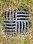 Metal sewer grate in the grass.