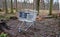 Metal shopping cart stands forgotten in the woods. the customer bought, drove to the spruce forest park. Buy a piece of forest, na