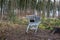 Metal shopping cart stands forgotten in the woods. the customer bought, drove to the spruce forest park. Buy a piece of forest, na