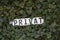 Metal sign with the inscription `PRIVAT` on the fence, overgrown with ivy