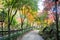 Metal stairsteps to Red Orange maple leaves trees in deep forest with beautiful colourful Autumn foliage trees scenery