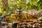 Metal statue of an insect drinking in a pond of the Botanical-Historic Garden La Concepcion in Malaga Spain