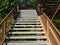 Metal steps encountered on a hike through a forest in montana