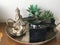 Metal tray with miniature budha, lotus, and from grown plants