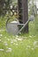 Metal watering can on lawn