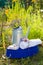 Metal watering can, purple basin, toilet soap and white towel with flowers in garden. Bath tools