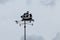Metal weather vane, in shape of sailing boat against dull sky