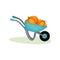 Metal wheelbarrow with two big pumpkins. Garden cart with crop of ripe vegetables. Healthy farm product. Flat vector
