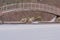 Metal and wood foot bridge over a frozen pond