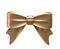 Metalic Ribbon Bow