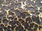 Metalic rough surface background texture golden black