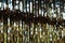 Metallic glitter curtain. Christmas design decoration. Shining metal decoration