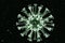 Metallic Green Coronavirus Seen Under Electron Microscope 