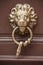 Metallic Lion shaped handle on wooden door