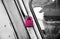 Metallic pink lock of a door isolated unique photo