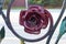 Metallic rose burgundy color, forged floral decoration