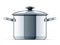 Metallic saucepan with lid