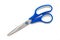 Metallic scissors with blue holder