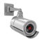 Metallic Security Camera