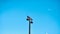 Metallic street lampposts with blue sky background