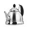 Metallic teapot, white background