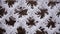 Metallic wire fence with hoarfrost - camera slide