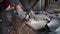 Metalworking with a hand-held circular saw, close up, the disk is blurred in motion, many sparks are visible.