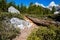 Metamorphic gneiss rock in the Grand Teton Range, Wyoming