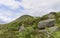 Metamorphic rocks and boulders litter the Glen sides, covered with Lichen and surrounded by Scottish Flora such as Purple Heather.