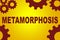 Metamorphosis formation concept