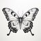 Metaphoric Artwork: Bold Chromaticity In A Black And White Butterfly Drawing
