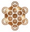 Metatron cube geometry holy gold copper platonic