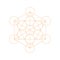 Metatrons Cube - Flower of Life. Vector