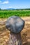 Meteorite of Ensisheim, Alsace, France