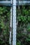 Meteorological Instruments, Thermometers for measuring the temperature