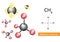 Methane molecules