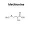 Methionine is an amino acid. Chemical molecular formula of methionine amino acid. Vector illustration on isolated