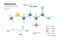 Methionine. Met C5H11NO2S. Essential Amino Acid. Structural Chemical Formula and Molecule 3d Model. Atoms with Color Coding.