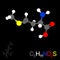 Methionine model molecule. Isolated on black background. Vector