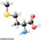 Methionine molecule