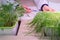 The method of growing plants in water. The hands of a laboratory technician inspect wheat and lentil sprouts. Hydroponics. Healthy