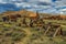 The Methodist Church in Bodie, ghost town, California, USA