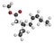 Methyl jasmonate plant stress signal molecule. 3D rendering. Atoms are represented as spheres with conventional color coding:.